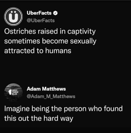 funny memes and pics - screenshot - UberFacts Ostriches raised in captivity sometimes become sexually attracted to humans Adam Matthews Keep Tahoe Blue Imagine being the person who found this out the hard way
