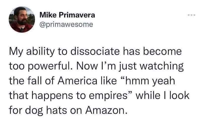 funny memes and pics - dissociate dog hats - Mike Primavera My ability to dissociate has become too powerful. Now I'm just watching the fall of America "hmm yeah that happens to empires" while I look for dog hats on Amazon.