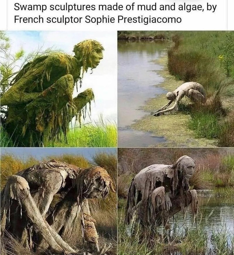funny memes and pics - swamp sculpture - Swamp sculptures made of mud and algae, by French sculptor Sophie Prestigiacomo