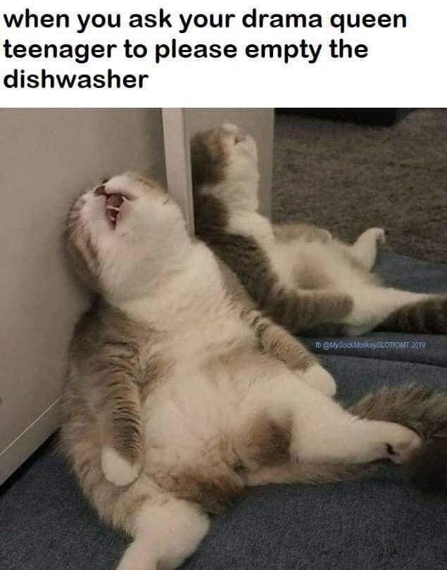 funny pics and memes - you ask your drama queen teenager - when you ask your drama queen teenager to please empty the dishwasher tb MonkeySLOTIOMT 2019