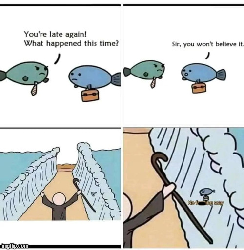 funny pics and memes - you re late again fish meme - You're late again! What happened this time? ccccccc imgflip.com Sir, you won't believe it No ing way