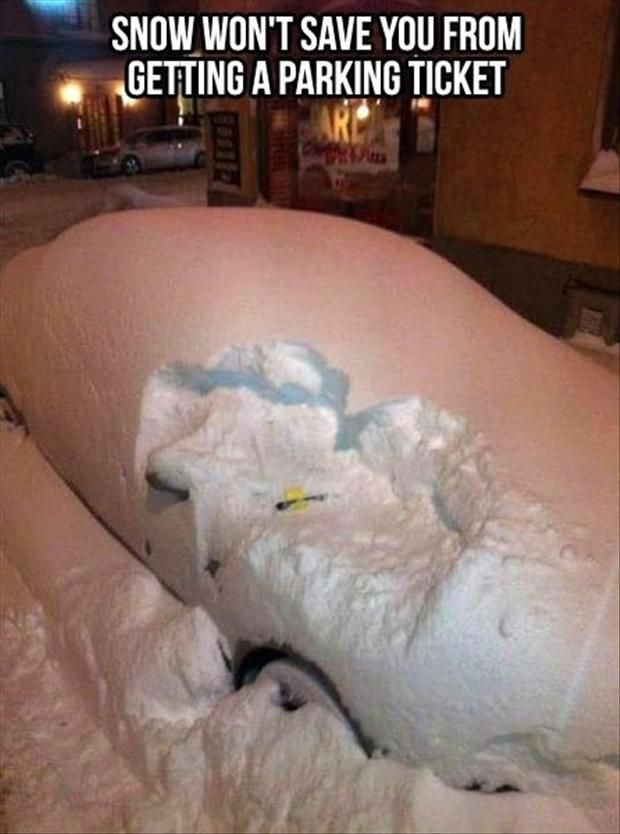 funny pics and memes - not tonight meme - Snow Won'T Save You From Getting A Parking Ticket