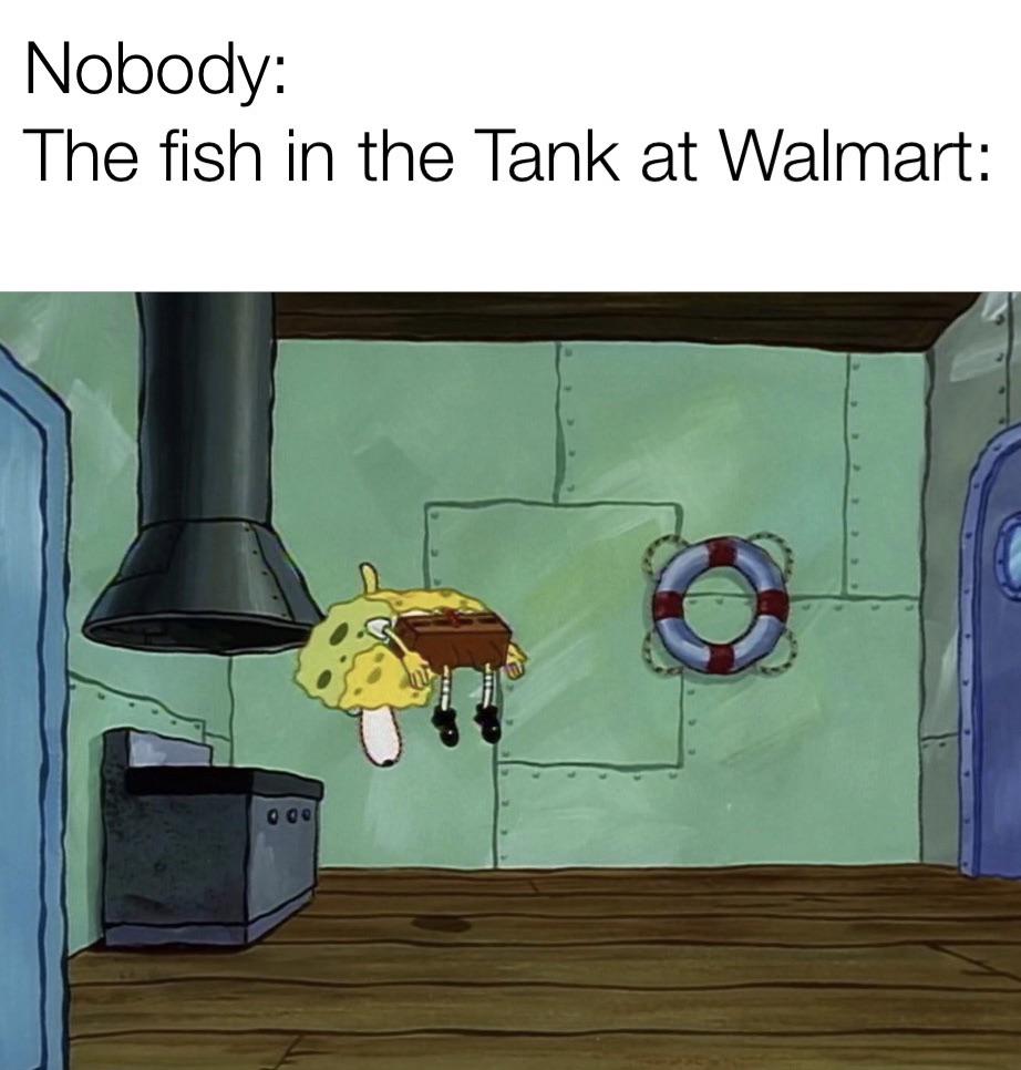 funny pics and memes - spongebob memes clean - Nobody The fish in the Tank at Walmart 000