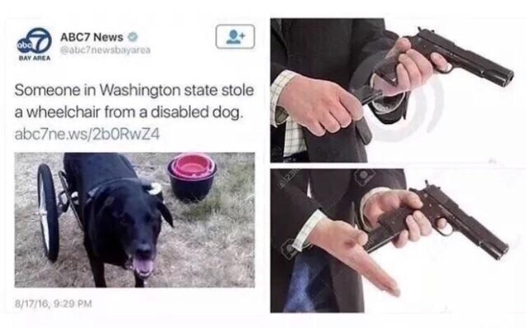 funny pics and memes - john wick dog meme - obc Bay Area ABC7 News Someone in Washington state stole a wheelchair from a disabled dog. abc7ne.ws2b0RwZ4 81716, D1231