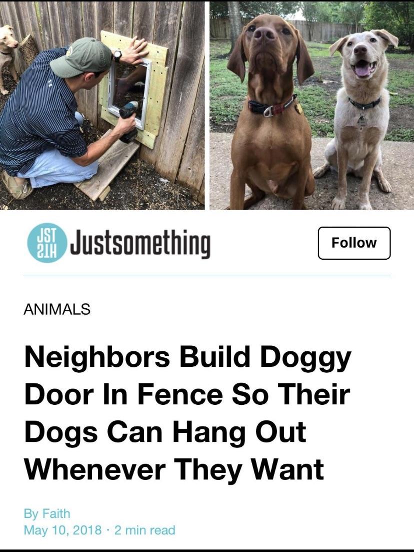 funny pics and memes - fence neighbor door - St Justsomething 21H Animals Neighbors Build Doggy Door In Fence So Their Dogs Can Hang Out Whenever They Want By Faith 2 min read