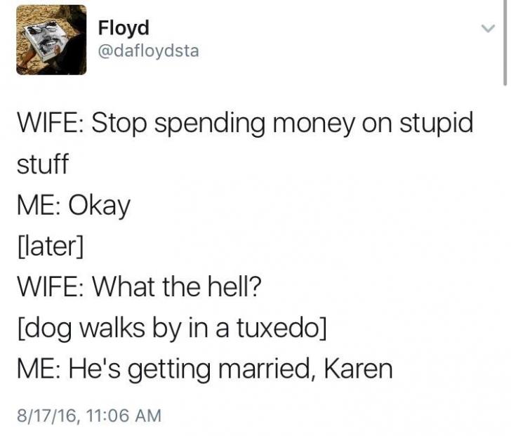 funny pics and randoms  - random funny quotes twitter - Floyd Wife Stop spending money on stupid stuff Me Okay later Wife What the hell? dog walks by in a tuxedo Me He's getting married, Karen 81716,
