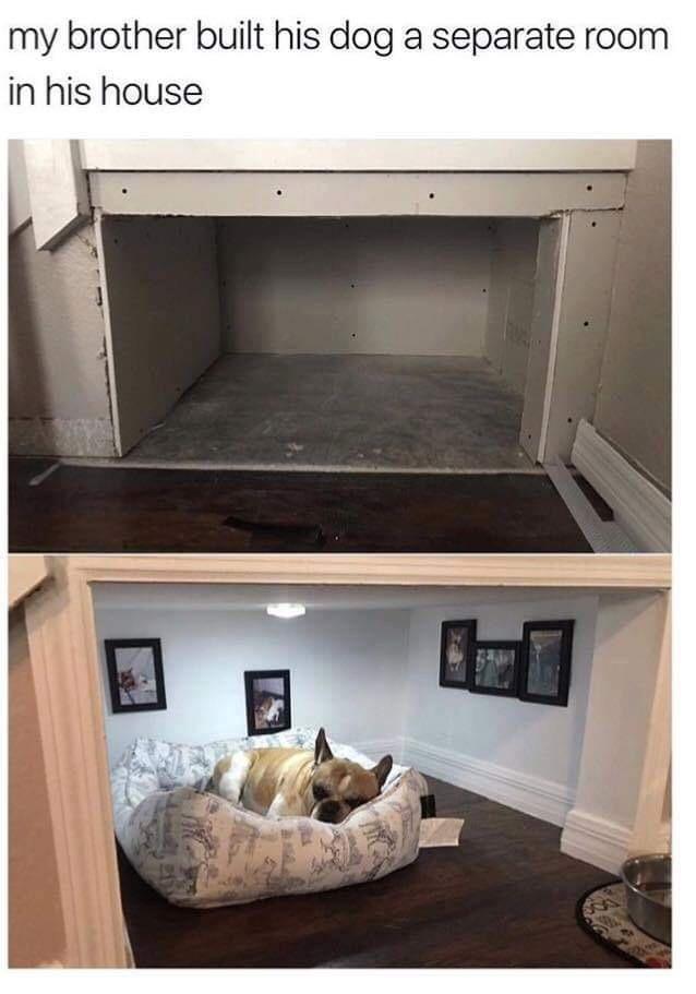 funny pics and randoms  - dog bedroom - my brother built his dog a separate room in his house