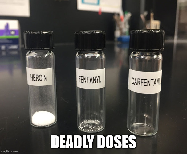 monday morning randomness - fentanyl carfentanyl - imgflip.com Heroin Fentanyl Carfentan Deadly Doses