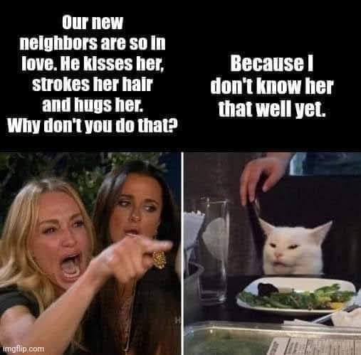 monday morning randomness - license plate meme cat - Our new neighbors are so in love. He kisses her, strokes her hair and hugs her. Why don't you do that? imgflip.com Because I don't know her that well yet.