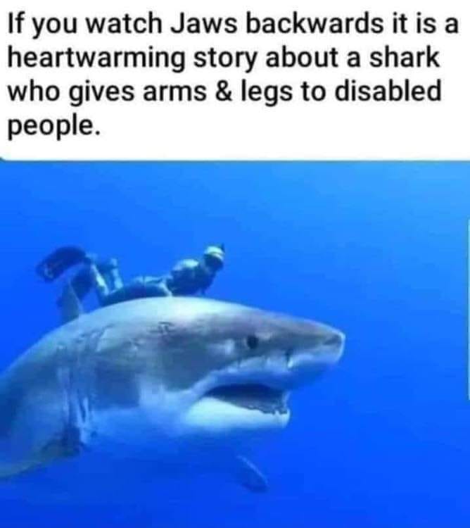 random photos and pics - if you watch jaws backwards - If you watch Jaws backwards it is a heartwarming story about a shark who gives arms & legs to disabled people.