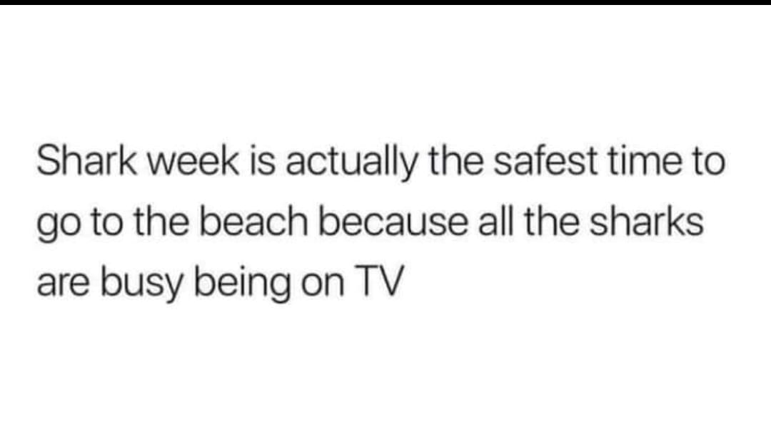 random photos and pics - everything that looks good ain t good - Shark week is actually the safest time to go to the beach because all the sharks are busy being on Tv