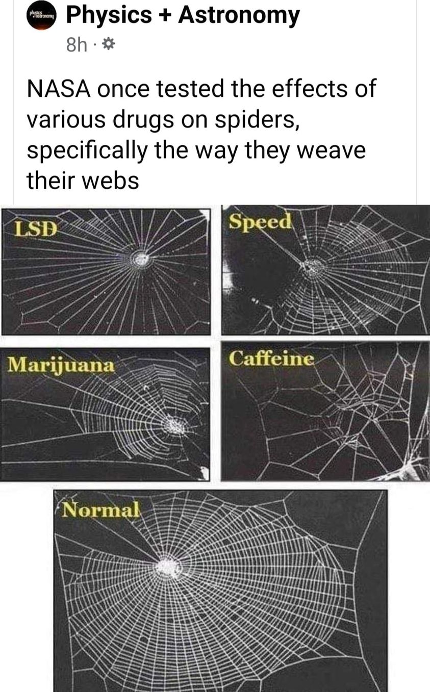 funny memes and random tweets - spiders on drugs - pronomy Physics Astronomy 8h. Nasa once tested the effects of various drugs on spiders, specifically the way they weave their webs Lsd Marijuana Normal Speed Caffeine