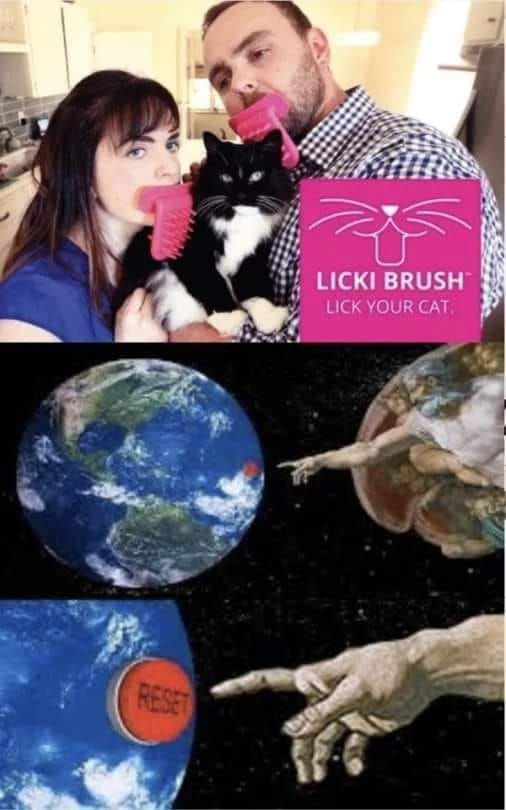 funny memes and random tweets - funny - Reset Licki Brush Lick Your Cat.