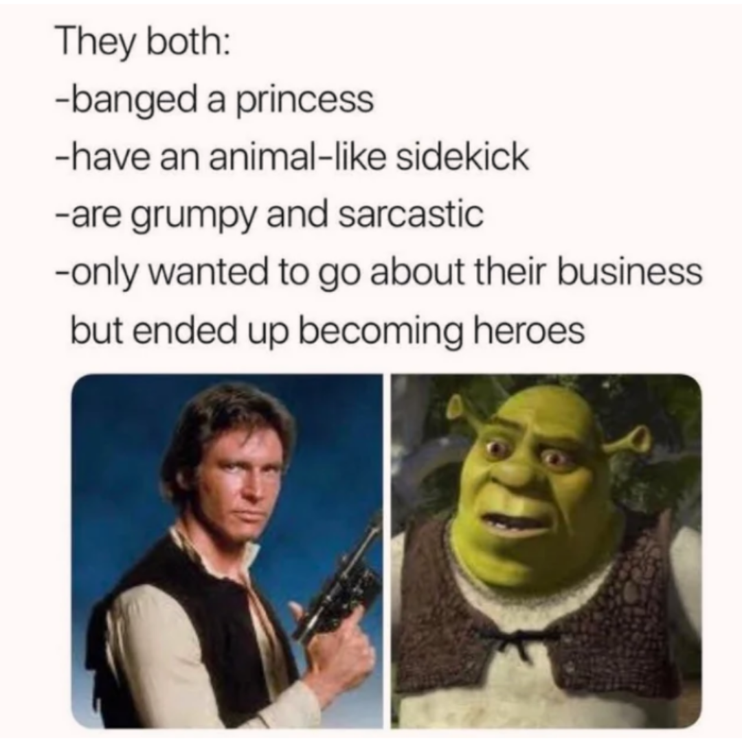funny memes and pics - han solo and shrek - They both banged a princess have an animal sidekick are grumpy and sarcastic only wanted to go about their business but ended up becoming heroes