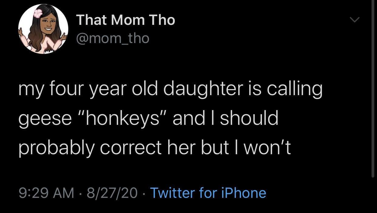 random pics - beam designs tweet - That Mom Tho my four year old daughter is calling geese "honkeys" and I should probably correct her but I won't 82720 Twitter for iPhone