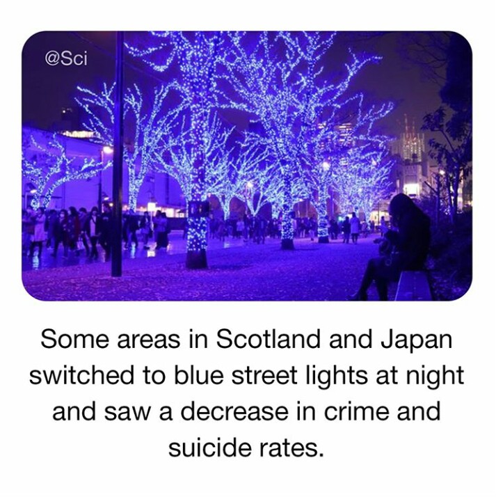 daily dose of randoms - cobalt blue - Some areas in Scotland and Japan switched to blue street lights at night and saw a decrease in crime and suicide rates.
