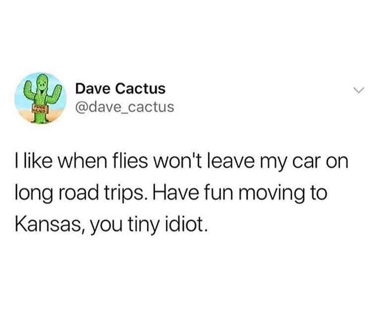 awesome random pics - Dave Cactus I when flies won't leave my car on long road trips. Have fun moving to Kansas, you tiny idiot.