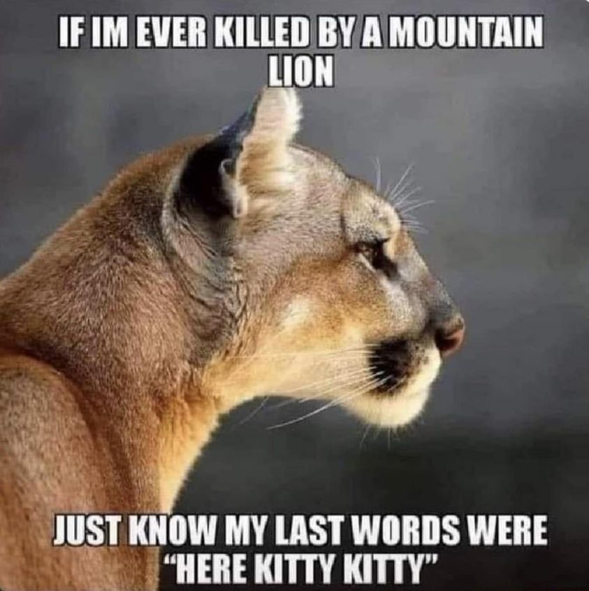 daily dose of randoms - oklahoma wildlife department twitter mountain lion - If Im Ever Killed By A Mountain Lion Just Know My Last Words Were "Here Kitty Kitty"