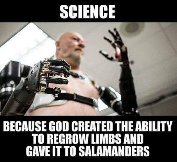 daily dose of randoms - atom limbs - Science Kal Because God Created The Ability To Regrow Limbs And Gave It To Salamanders