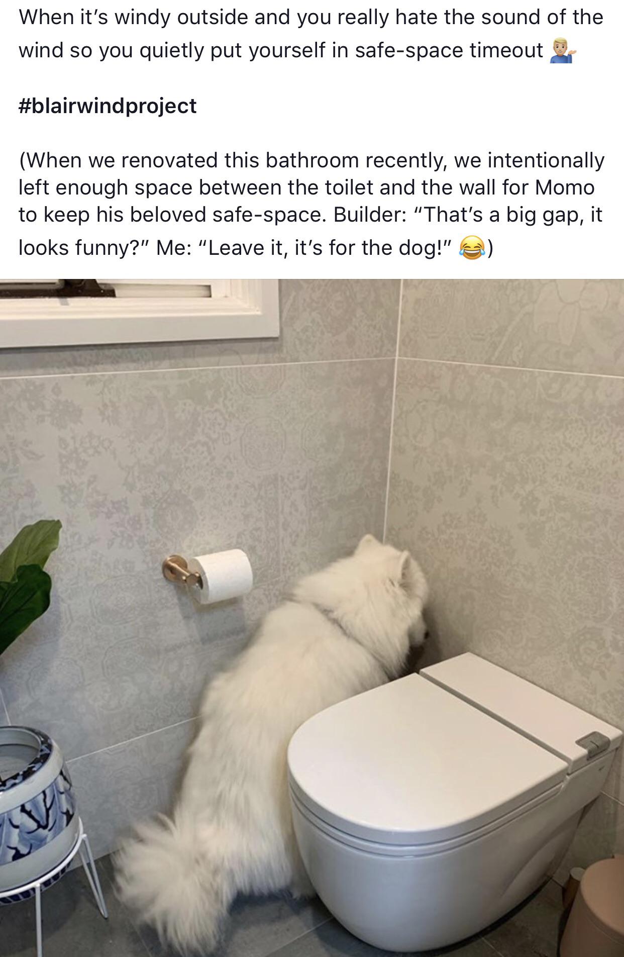 daily dose of randoms - floor - When it's windy outside and you really hate the sound of the wind so you quietly put yourself in safespace timeout When we renovated this bathroom recently, we intentionally left enough space between the toilet and the wall