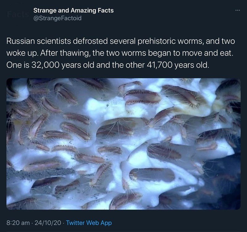 daily dose of randoms - methane worms - Facts Strange and Amazing Facts Russian scientists defrosted several prehistoric worms, and two woke up. After thawing, the two worms began to move and eat. One is 32,000 years old and the other 41,700 years old. 24