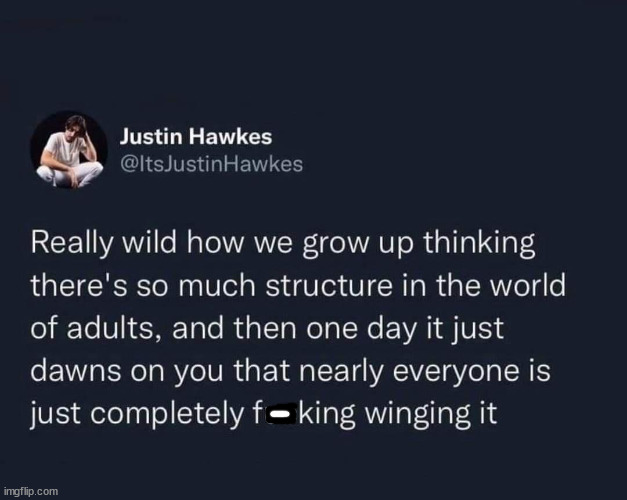 funny memes and pics - planning fails in management - Justin Hawkes Really wild how we grow up thinking there's so much structure in the world of adults, and then one day it just dawns on you that nearly everyone is just completely fking winging it imgfli