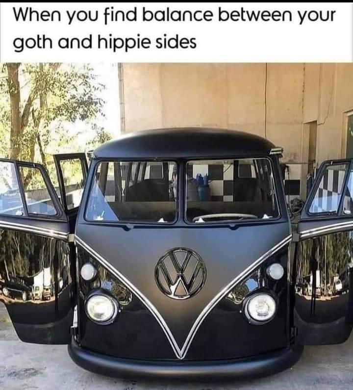 funny memes and pics - goth hippie van - When you find balance between your goth and hippie sides ecl E