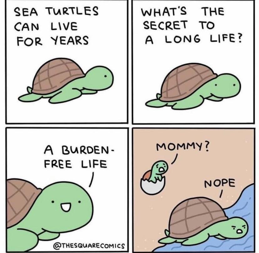 funny pics and randoms - secret to a long life turtle - Sea Turtles Can Live For Years A Burden Free Life Comics What'S The Secret To A Long Life? Mommy? Nope 1