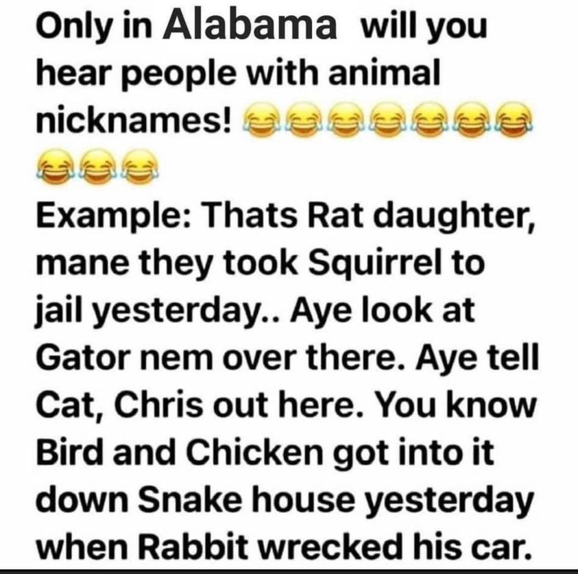 funny pics and randoms - happiness - Only in Alabama will you hear people with animal nicknames! ees Example Thats Rat daughter, mane they took Squirrel to jail yesterday.. Aye look at Gator nem over there. Aye tell Cat, Chris out here. You know Bird and 