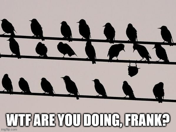 monday morning randomness - australian accent memes - 11 In A Wtf Are You Doing, Frank? imgflip.com