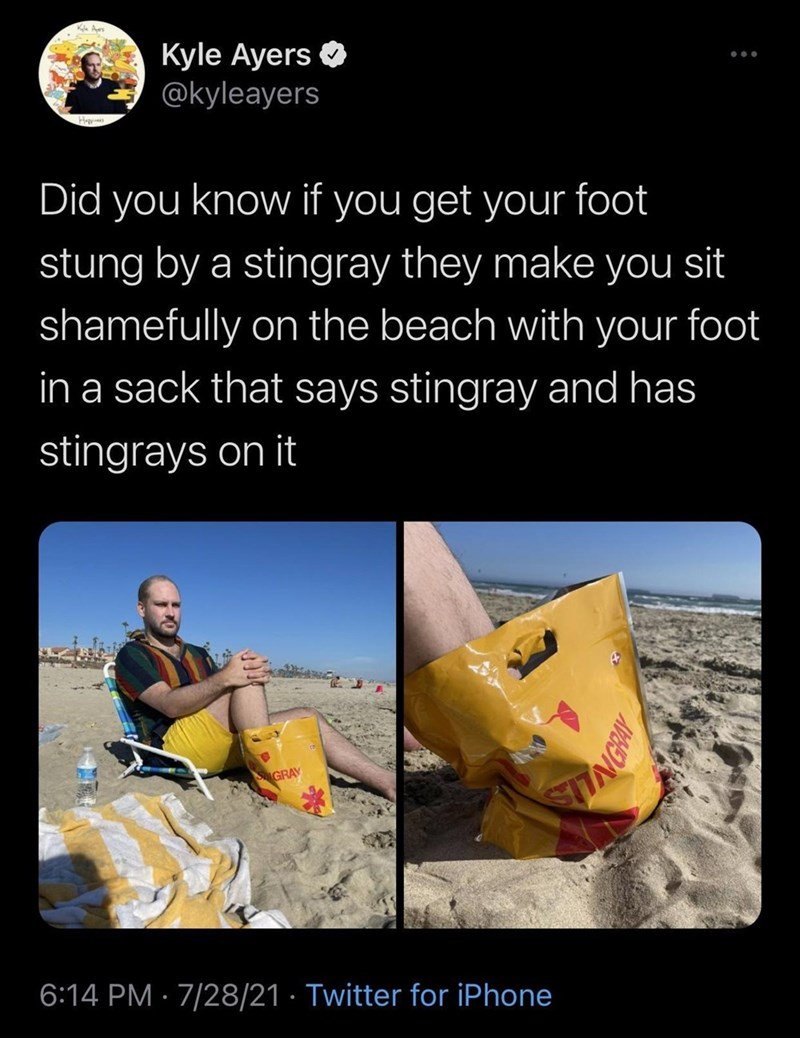 monday morning randomness - water - Kyle Ayers Did you know if you get your foot stung by a stingray they make you sit shamefully on the beach with your foot in a sack that says stingray and has stingrays on it Gray 72821 Twitter for iPhone . Avonlis