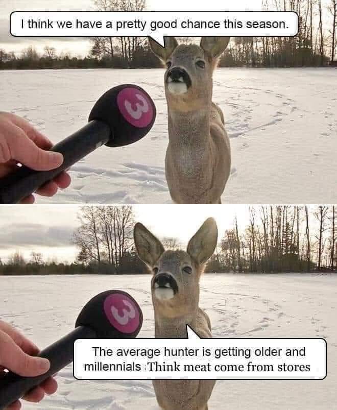 daily dose of randoms -  deer being interviewed meme - I think we have a pretty good chance this season. 3 The average hunter is getting older and millennials Think meat come from stores