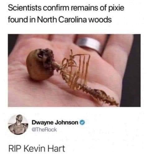 daily dose of randoms -  rip kevin hart - Scientists confirm remains of pixie found in North Carolina woods Dwayne Johnson Rip Kevin Hart