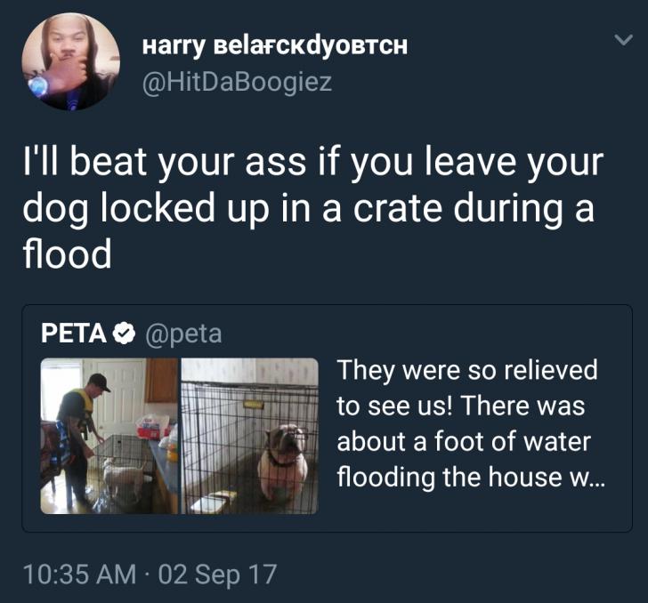 daily dose of randoms -  presentation - Harry BelaFckdyoBTCH I'll beat your ass if you leave your dog locked up in a crate during a flood Peta 02 Sep 17 . They were so relieved to see us! There was about a foot of water flooding the house w...