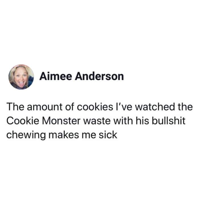 funny pics and memes - Internet meme - Aimee Anderson The amount of cookies I've watched the Cookie Monster waste with his bullshit chewing makes me sick