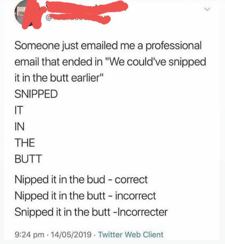 funny pics and memes - paper - Someone just emailed me a professional email that ended in "We could've snipped it in the butt earlier" Snipped It In The Butt Nipped it in the bud correct Nipped it in the butt incorrect Snipped it in the butt Incorrecter 1