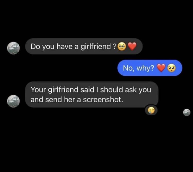 funny memes and pics - Girlfriend - Do you have a girlfriend? No, why? Your girlfriend said I should ask you and send her a screenshot.