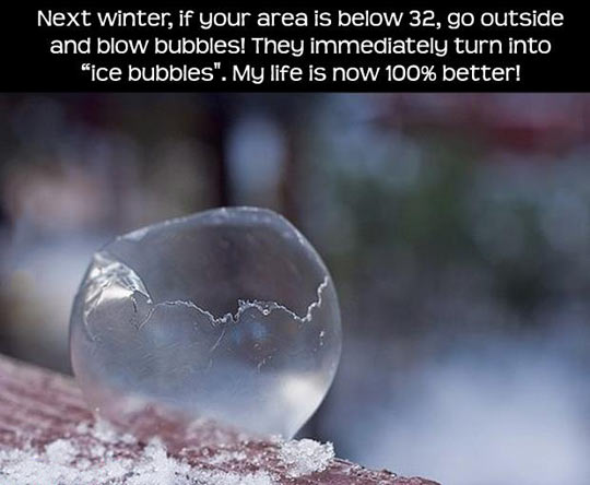 funny memes and pics - photography bubble - Next winter, if your area is below 32, go outside and blow bubbles! They immediately turn into "ice bubbles". My life is now 100% better!