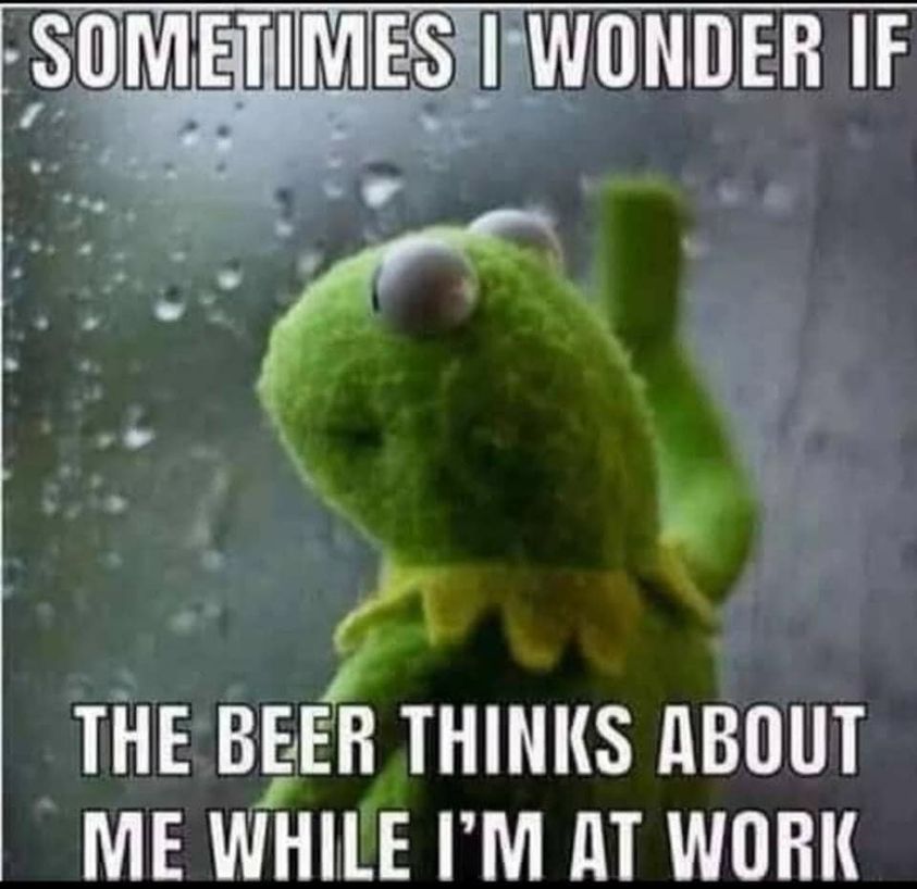 cool random pics and memes - fauna - Sometimes I Wonder If The Beer Thinks About Me While I'M At Work