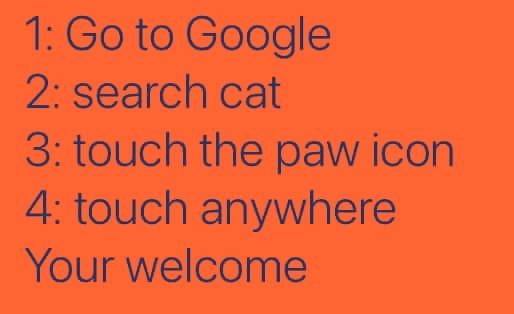 cool random pics and memes - real research survey app - 1 Go to Google 2 search cat 3 touch the paw icon 4 touch anywhere Your welcome