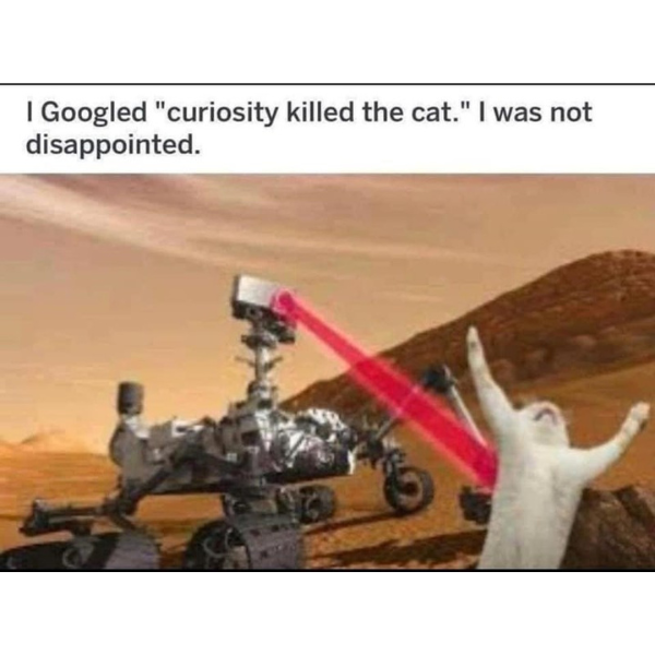 cool random pics and memes - mars rover curiosity - I Googled "curiosity killed the cat." I was not disappointed.