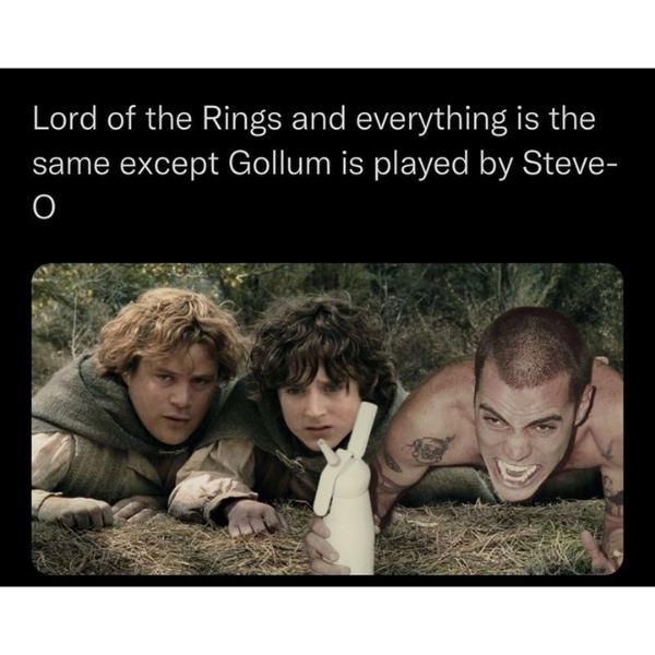 cool random pics and memes - human behavior - Lord of the Rings and everything is the same except Gollum is played by Steve O