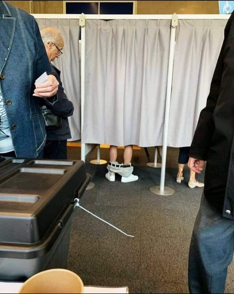 funny memes and pics the daily dose - voting booth pants down