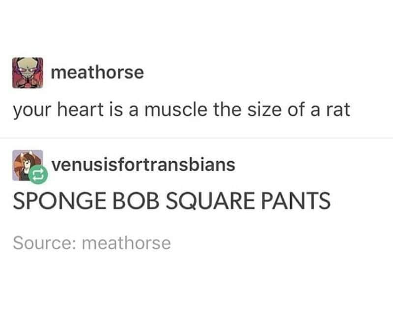 funny memes and pics the daily dose - your heart is a muscle the size - meathorse your heart is a muscle the size of a rat venusisfortransbians Sponge Bob Square Pants Source meathorse
