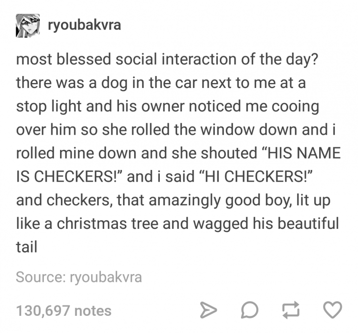 funny memes and pics the daily dose - buzzfeed tumblr wholesome - ryoubakvra most blessed social interaction of the day? there was a dog in the car next to me at a stop light and his owner noticed me cooing over him so she rolled the window down and i rol