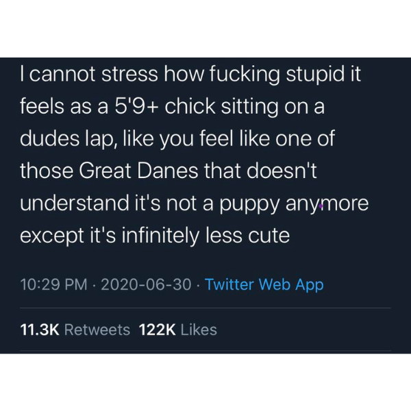 cool pics and funny memes - I cannot stress how fucking stupid it feels as a 5'9 chick sitting on a dudes lap, you feel one of those Great Danes that doesn't understand it's not a puppy anymore except it's infinitely less cute Twitter Web App
