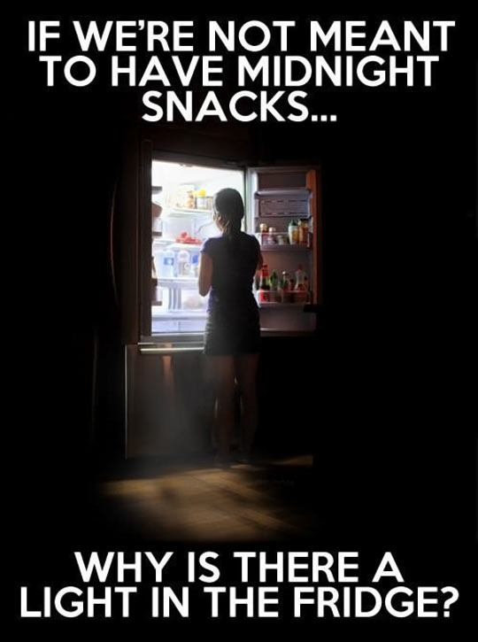 cool pics and funny memes - fridge light meme - If We'Re Not Meant To Have Midnight Snacks... Why Is There A Light In The Fridge?
