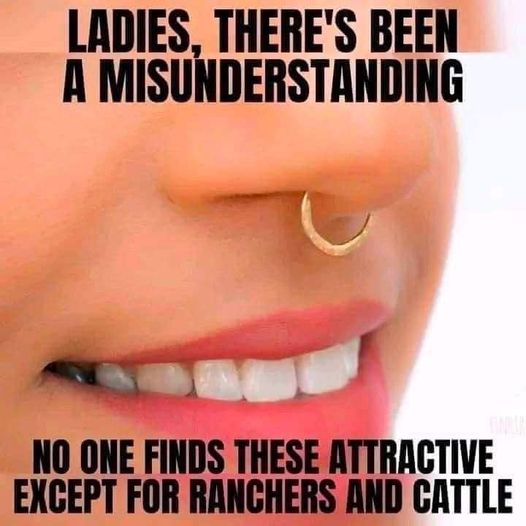 daily dose of pics and memes - lip - Ladies. There'S Been A Misunderstanding No One Finds These Attractive Except For Ranchers And Cattle