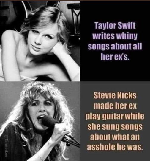 daily dose of pics and memes - taylor swift stevie nicks - Taylor Swift writes whiny songs about all her ex's. Stevie Nicks made her ex play guitar while she sung songs about what an asshole he was.