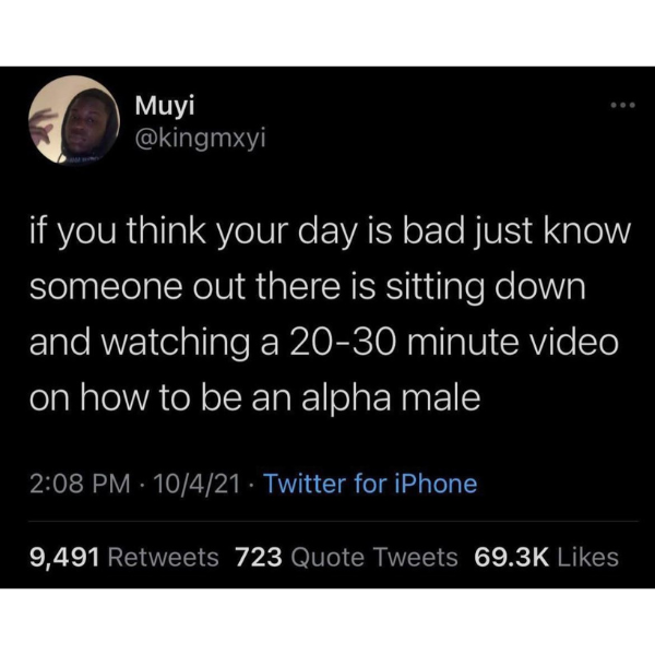 cool pics and memes - alpha male twitter - Muyi if you think your day is bad just know someone out there is sitting down and watching a 2030 minute video on how to be an alpha male 10421 Twitter for iPhone 9,491 723 Quote Tweets